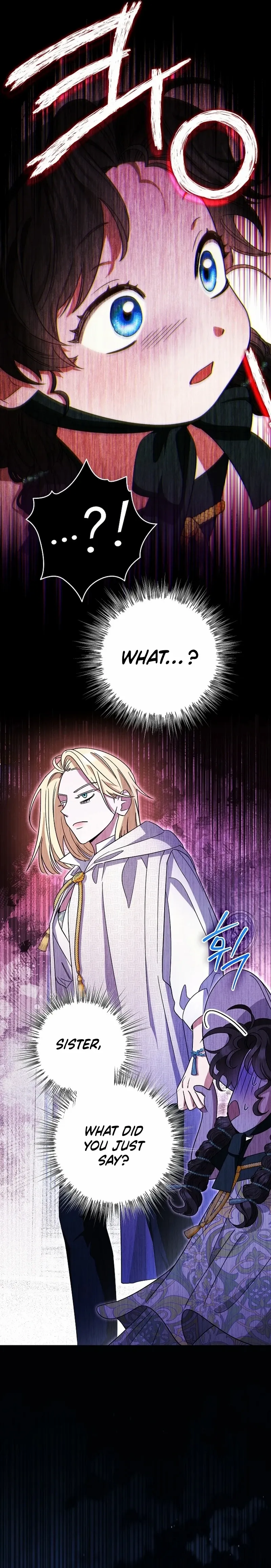I Became the Youngest Sister-in-law of the Ruined Reverse Harem’s Male Leads Chapter 1 page 23 - 