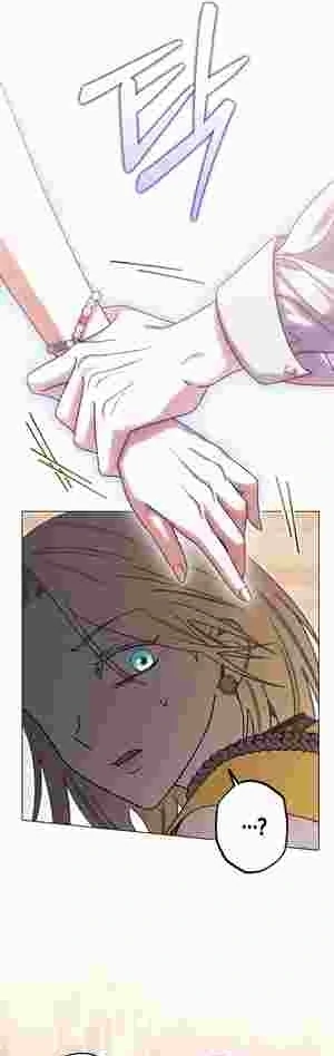 I Became the Youngest Sister-in-law of the Ruined Reverse Harem’s Male Leads Chapter 10 page 18 - 