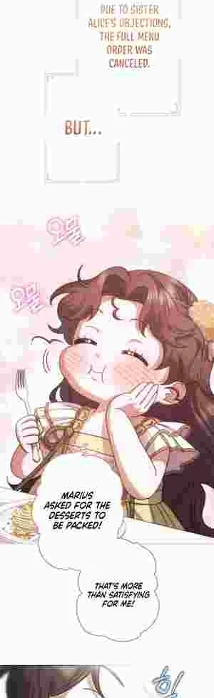 I Became the Youngest Sister-in-law of the Ruined Reverse Harem’s Male Leads Chapter 11 page 17 - 