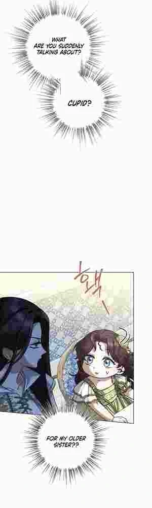 I Became the Youngest Sister-in-law of the Ruined Reverse Harem’s Male Leads Chapter 11 page 5 - 