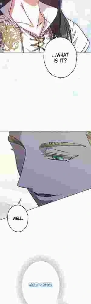 I Became the Youngest Sister-in-law of the Ruined Reverse Harem’s Male Leads Chapter 11 page 43 - 