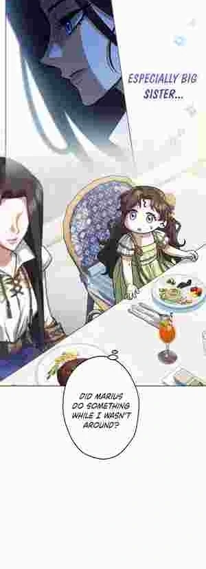 I Became the Youngest Sister-in-law of the Ruined Reverse Harem’s Male Leads Chapter 12 page 4 - 