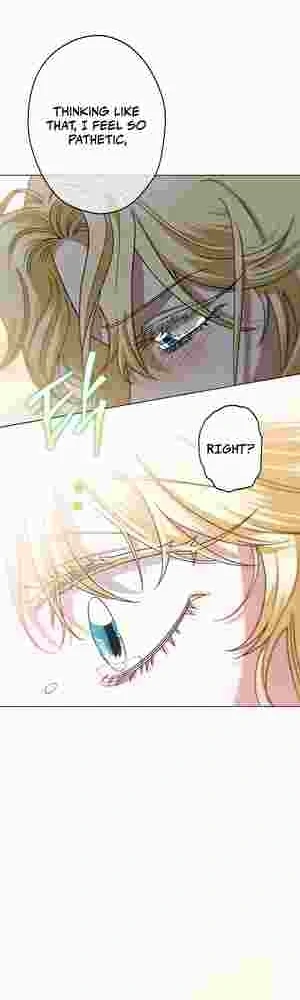 I Became the Youngest Sister-in-law of the Ruined Reverse Harem’s Male Leads Chapter 13 page 28 - 