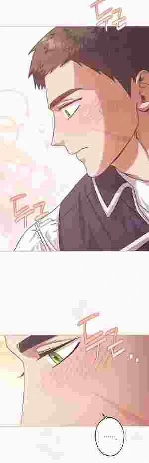 I Became the Youngest Sister-in-law of the Ruined Reverse Harem’s Male Leads Chapter 13 page 37 - 