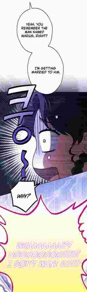 I Became the Youngest Sister-in-law of the Ruined Reverse Harem’s Male Leads Chapter 13 page 49 - 