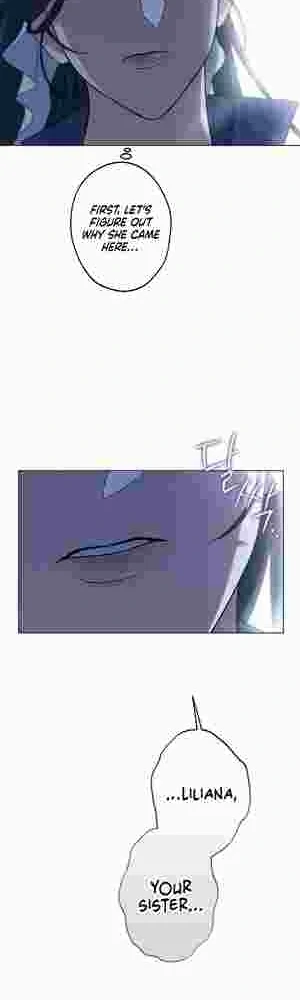 I Became the Youngest Sister-in-law of the Ruined Reverse Harem’s Male Leads Chapter 16 page 12 - 