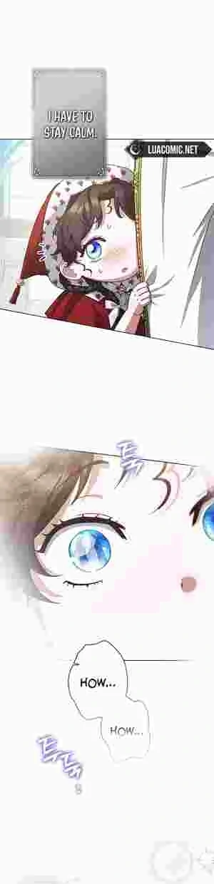 I Became the Youngest Sister-in-law of the Ruined Reverse Harem’s Male Leads Chapter 16 page 13 - 