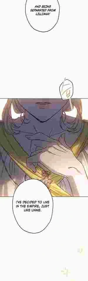 I Became the Youngest Sister-in-law of the Ruined Reverse Harem’s Male Leads Chapter 17 page 12 - 