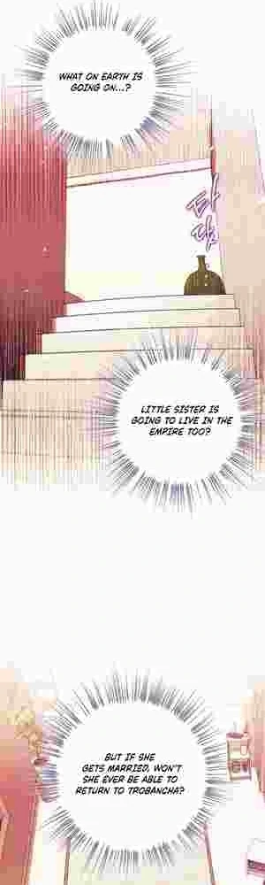 I Became the Youngest Sister-in-law of the Ruined Reverse Harem’s Male Leads Chapter 17 page 19 - 
