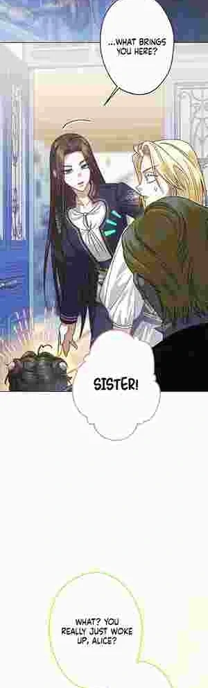 I Became the Youngest Sister-in-law of the Ruined Reverse Harem’s Male Leads Chapter 18 page 16 - 