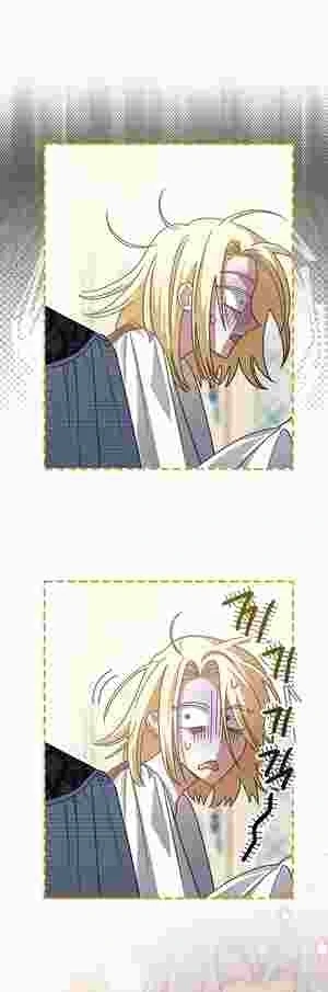 I Became the Youngest Sister-in-law of the Ruined Reverse Harem’s Male Leads Chapter 19 page 56 - 