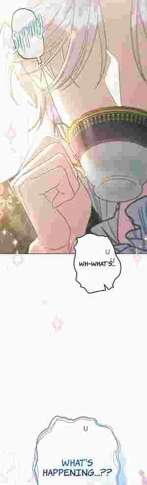 I Became the Youngest Sister-in-law of the Ruined Reverse Harem’s Male Leads Chapter 19 page 57 - 