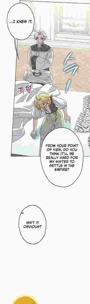I Became the Youngest Sister-in-law of the Ruined Reverse Harem’s Male Leads Chapter 20 page 14 - 