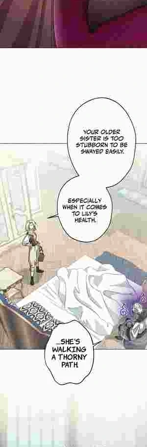 I Became the Youngest Sister-in-law of the Ruined Reverse Harem’s Male Leads Chapter 20 page 16 - 