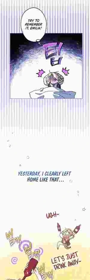 I Became the Youngest Sister-in-law of the Ruined Reverse Harem’s Male Leads Chapter 20 page 3 - 