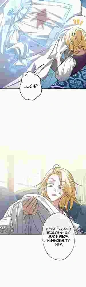 I Became the Youngest Sister-in-law of the Ruined Reverse Harem’s Male Leads Chapter 20 page 8 - 