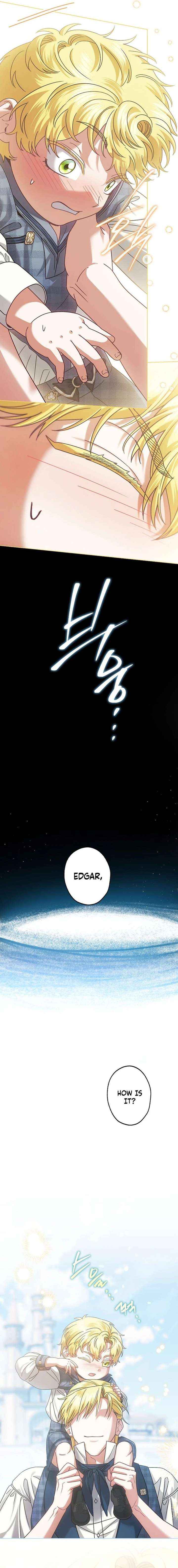 I Became the Youngest Sister-in-law of the Ruined Reverse Harem’s Male Leads Chapter 53 page 17 - 