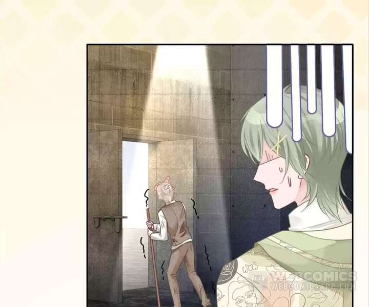 I Became the Youngest Sister-in-law of the Ruined Reverse Harem’s Male Leads Chapter 67 page 28 - 