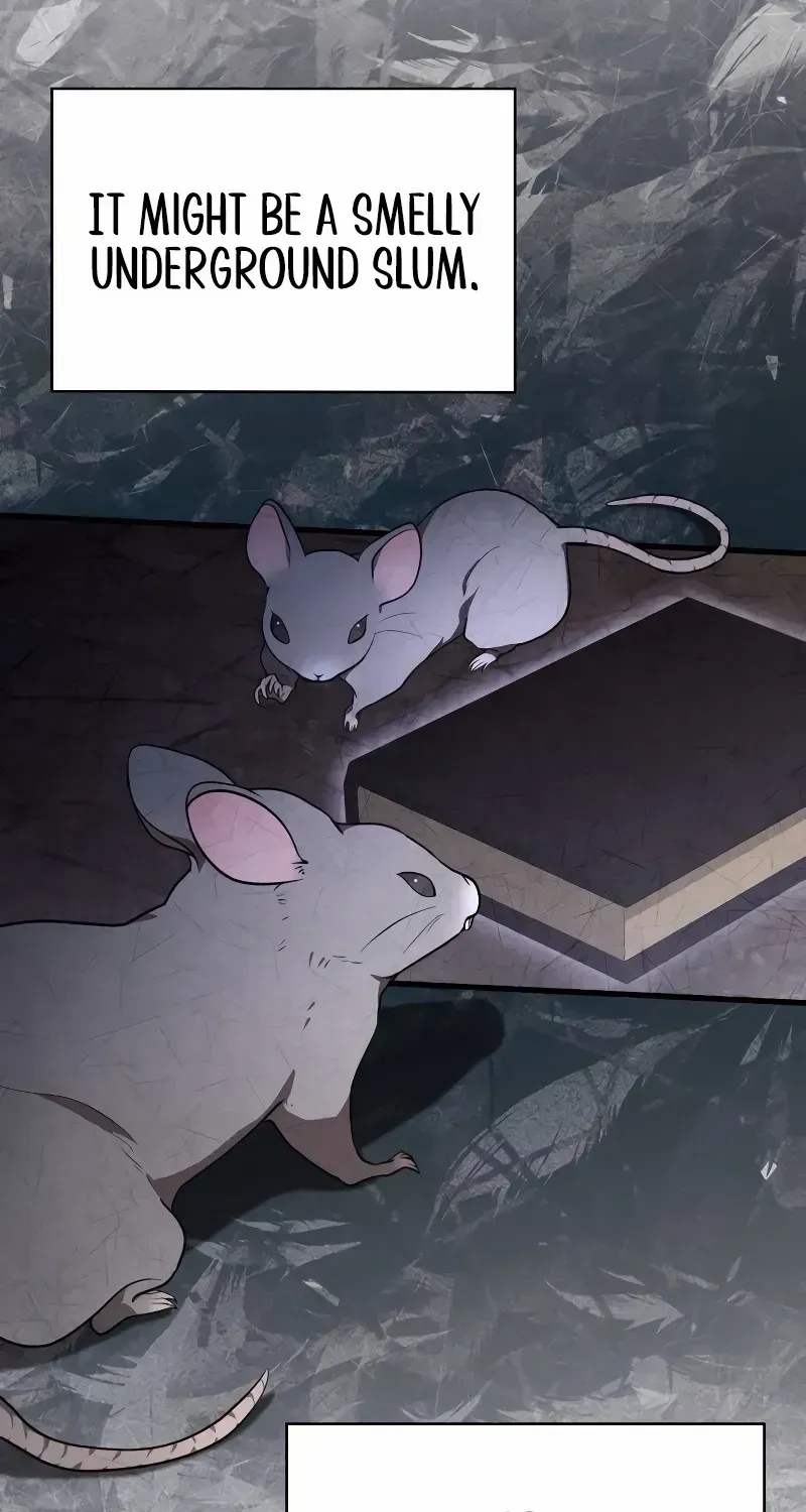 I Become a Legendary Arch Mage by Reading a Book Chapter 1.1 page 162 - 