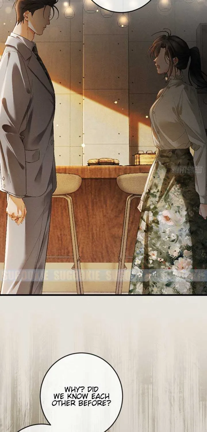 I Can’t Escape From My Contract Husband’s Doting Love Chapter 15 page 19 - 