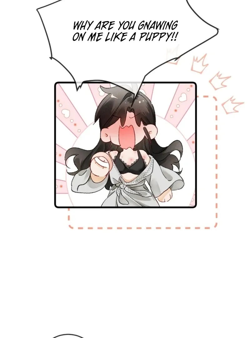 I Can’t Escape From My Contract Husband’s Doting Love Chapter 25 page 19 - 
