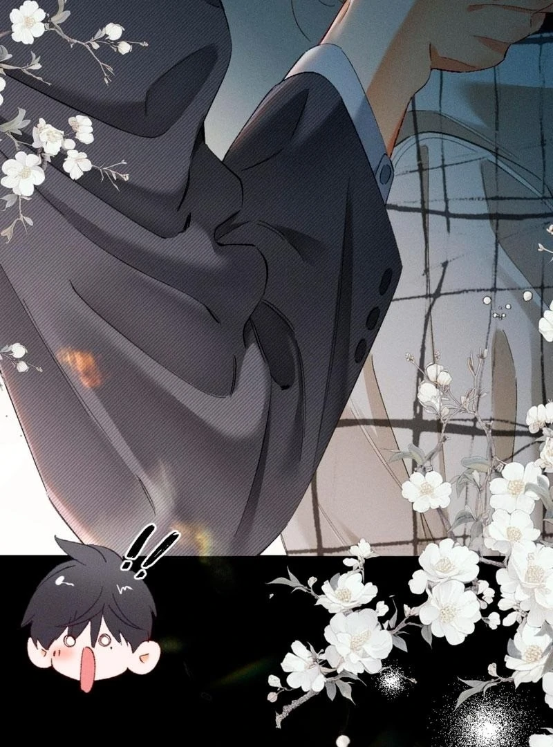 I Can’t Escape From My Contract Husband’s Doting Love Chapter 38 page 12 - 