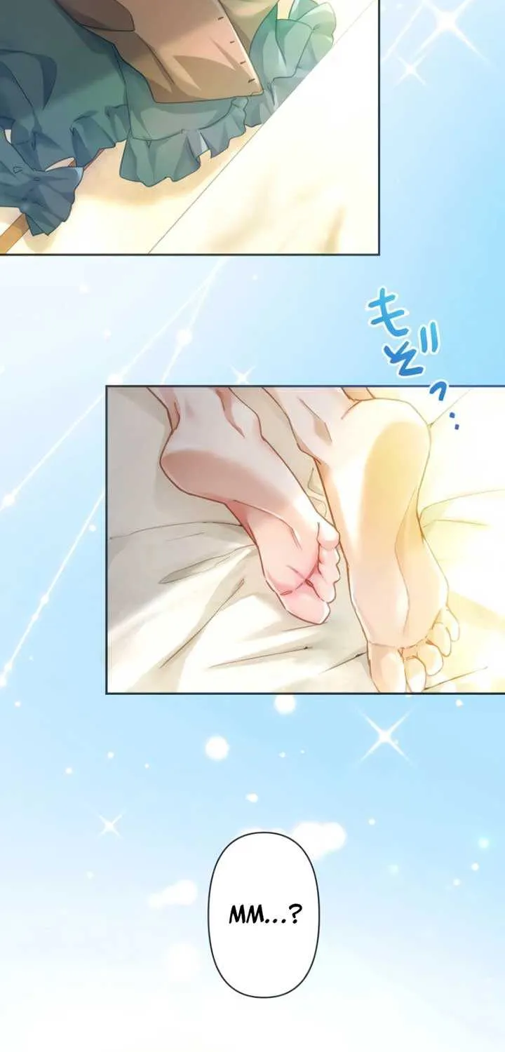 I Committed a One-Night Mistake with the Young Lady? Chapter 1 page 3 - 