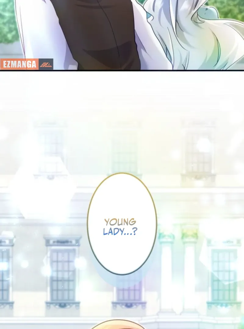 I Committed a One-Night Mistake with the Young Lady? Chapter 13 page 11 - 