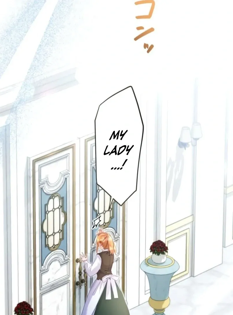 I Committed a One-Night Mistake with the Young Lady? Chapter 19 page 28 - 