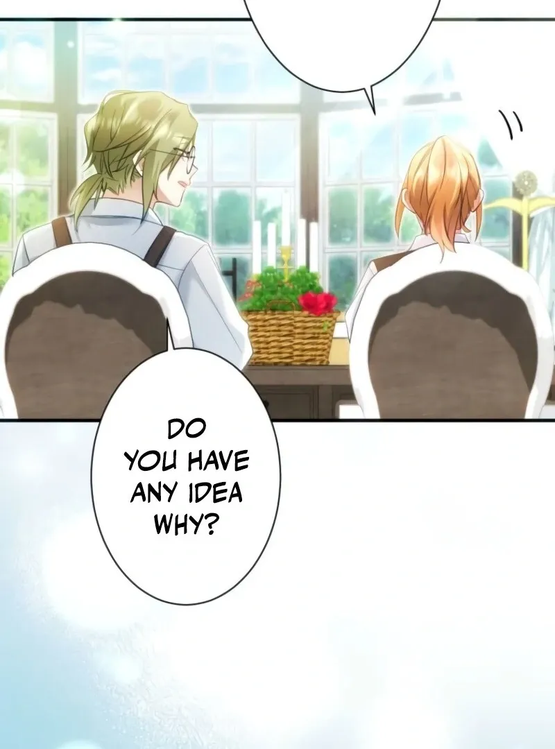 I Committed a One-Night Mistake with the Young Lady? Chapter 19 page 72 - 