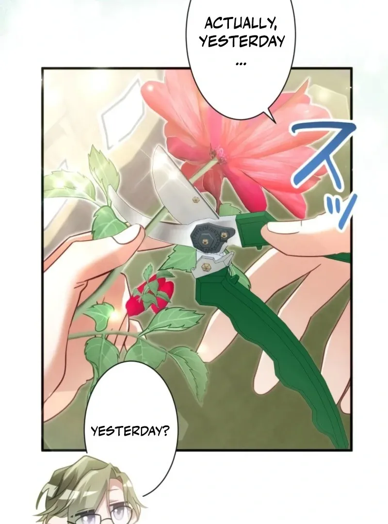 I Committed a One-Night Mistake with the Young Lady? Chapter 19 page 74 - 