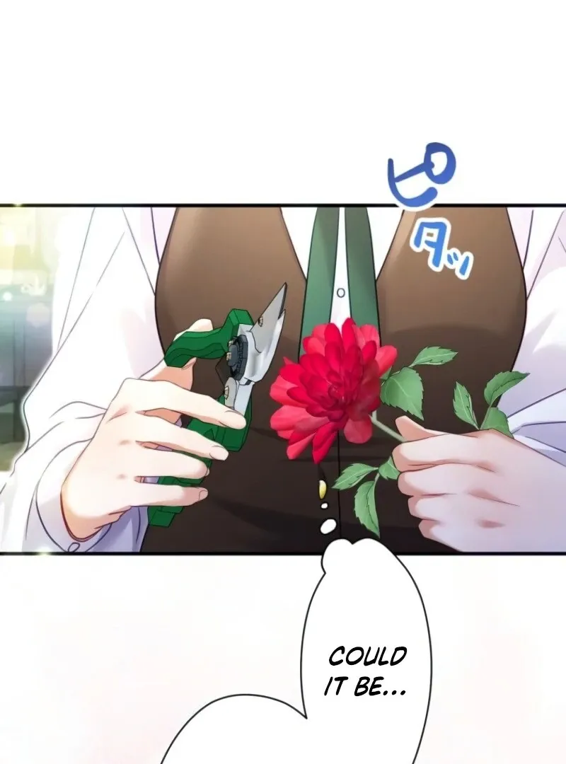 I Committed a One-Night Mistake with the Young Lady? Chapter 19 page 79 - 