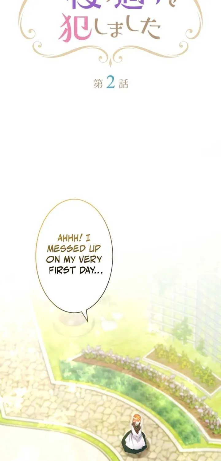 I Committed a One-Night Mistake with the Young Lady? Chapter 2 page 21 - 