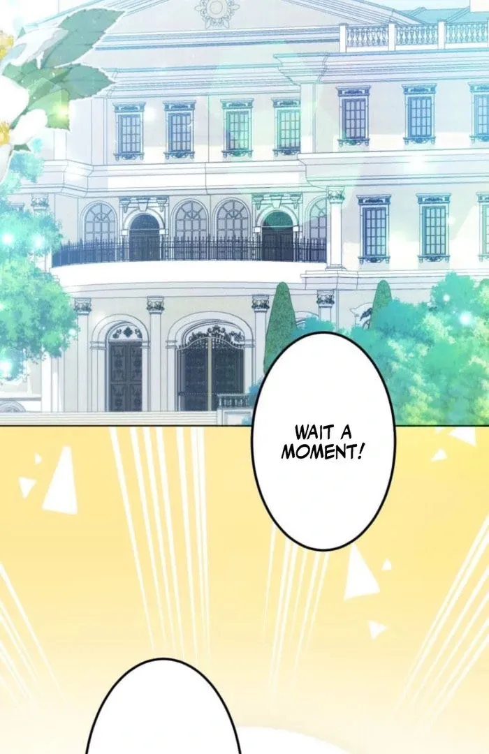 I Committed a One-Night Mistake with the Young Lady? Chapter 20 page 8 - 