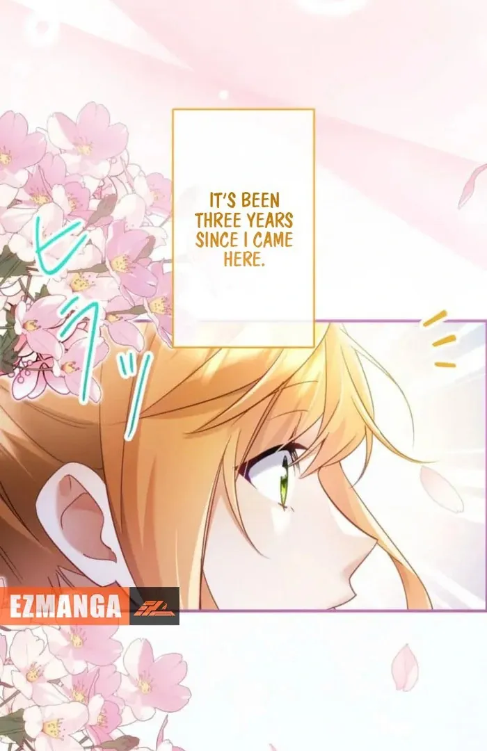 I Committed a One-Night Mistake with the Young Lady? Chapter 24 page 13 - 