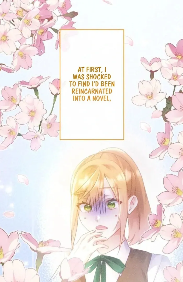I Committed a One-Night Mistake with the Young Lady? Chapter 24 page 14 - 