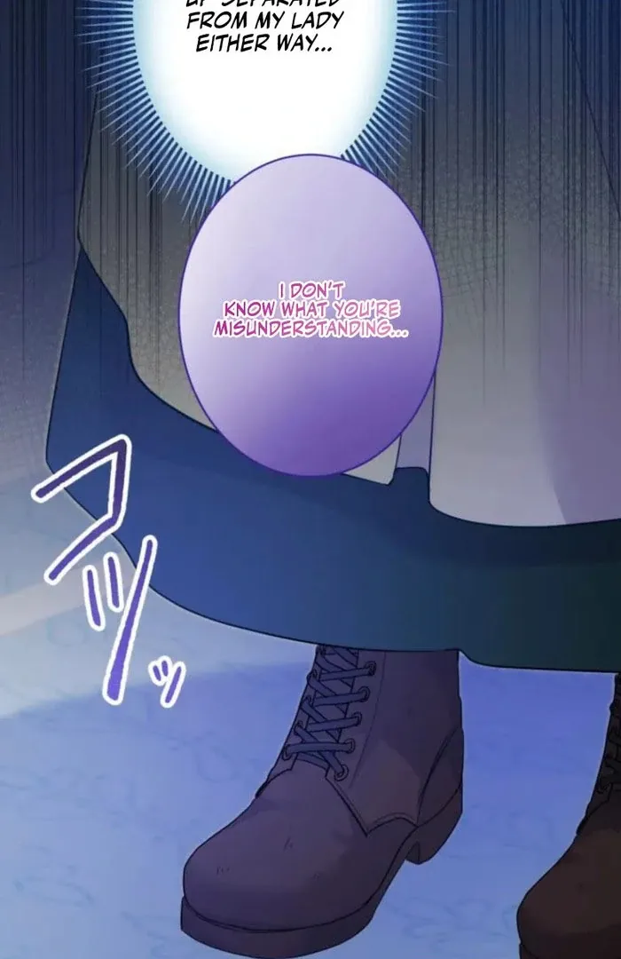 I Committed a One-Night Mistake with the Young Lady? Chapter 24 page 77 - 