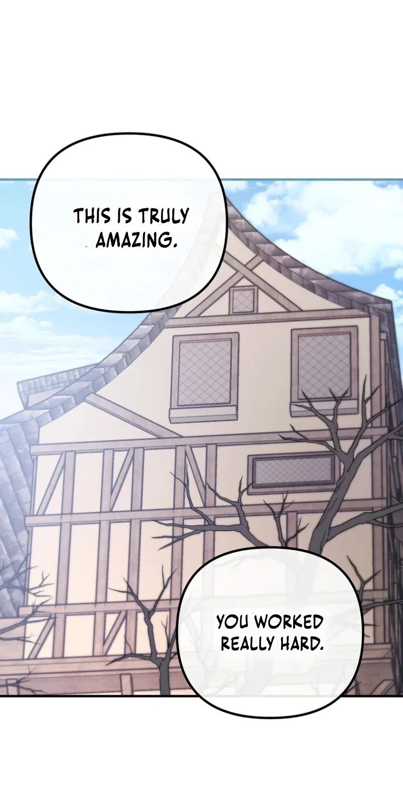 I Couldn