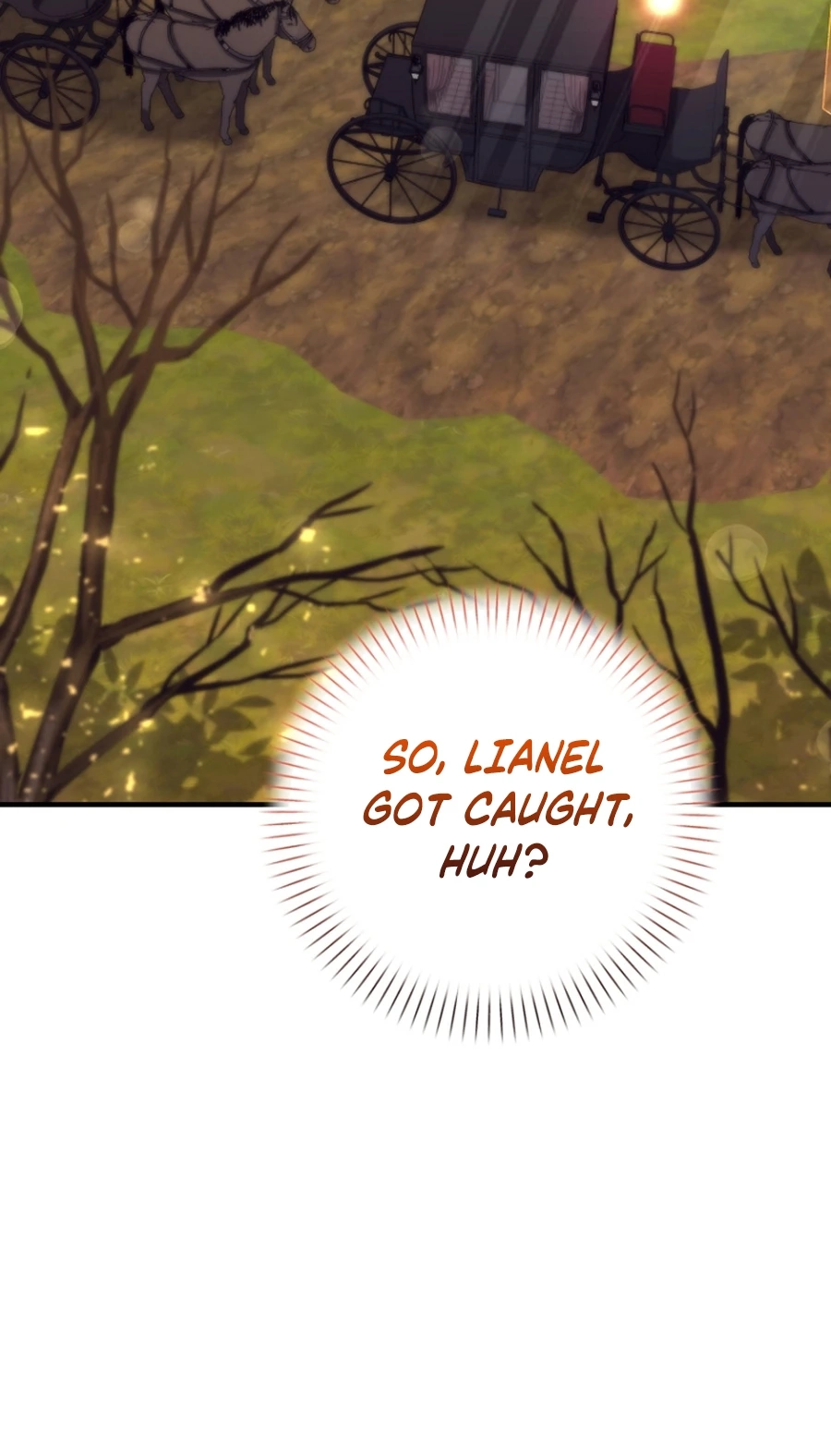 I Couldn