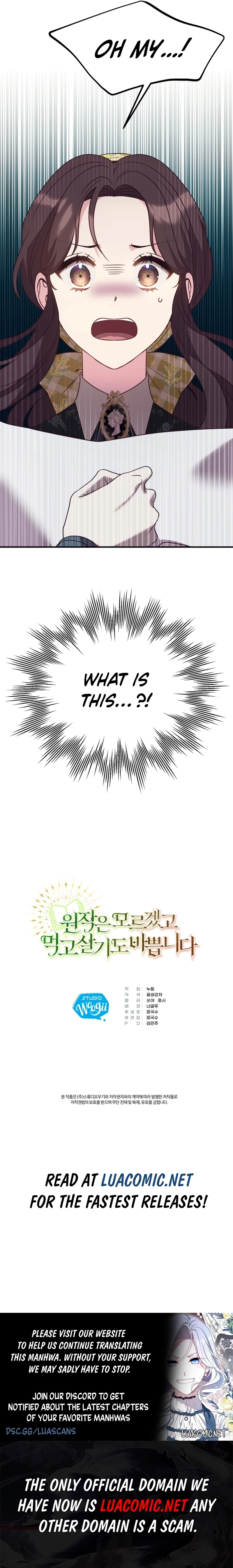 I Couldn
