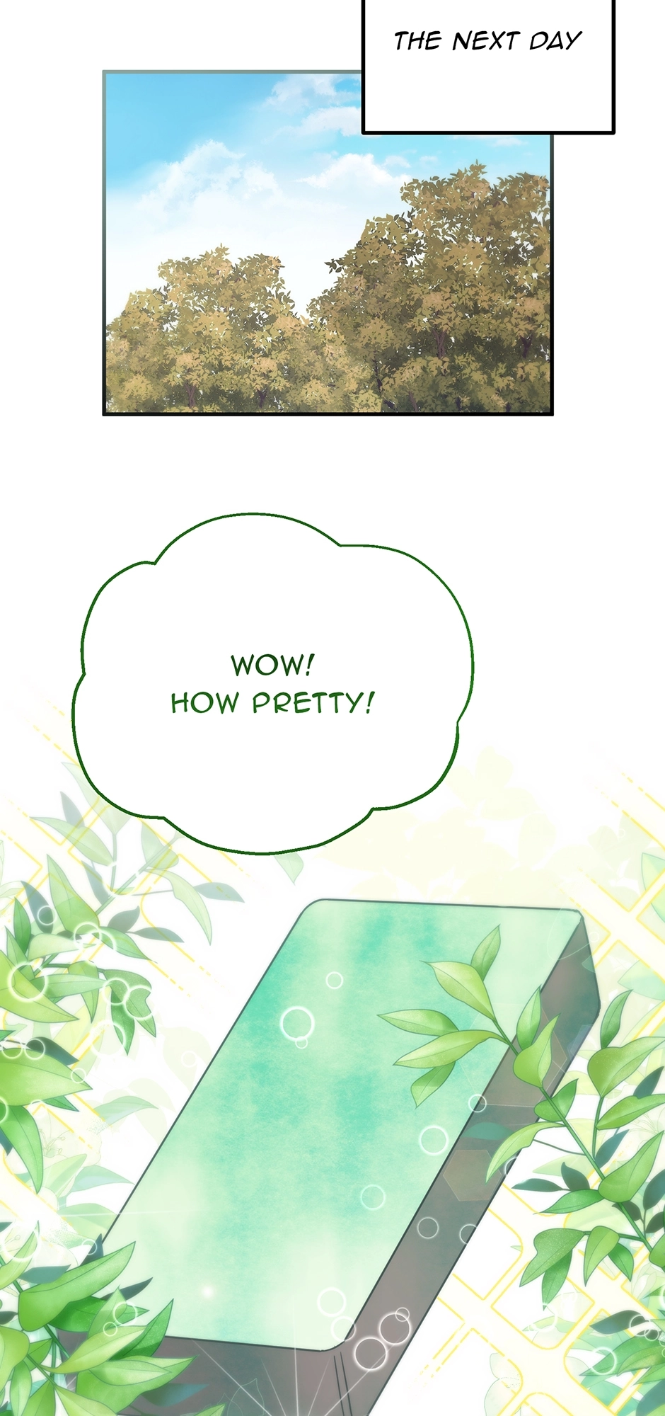 I Couldn