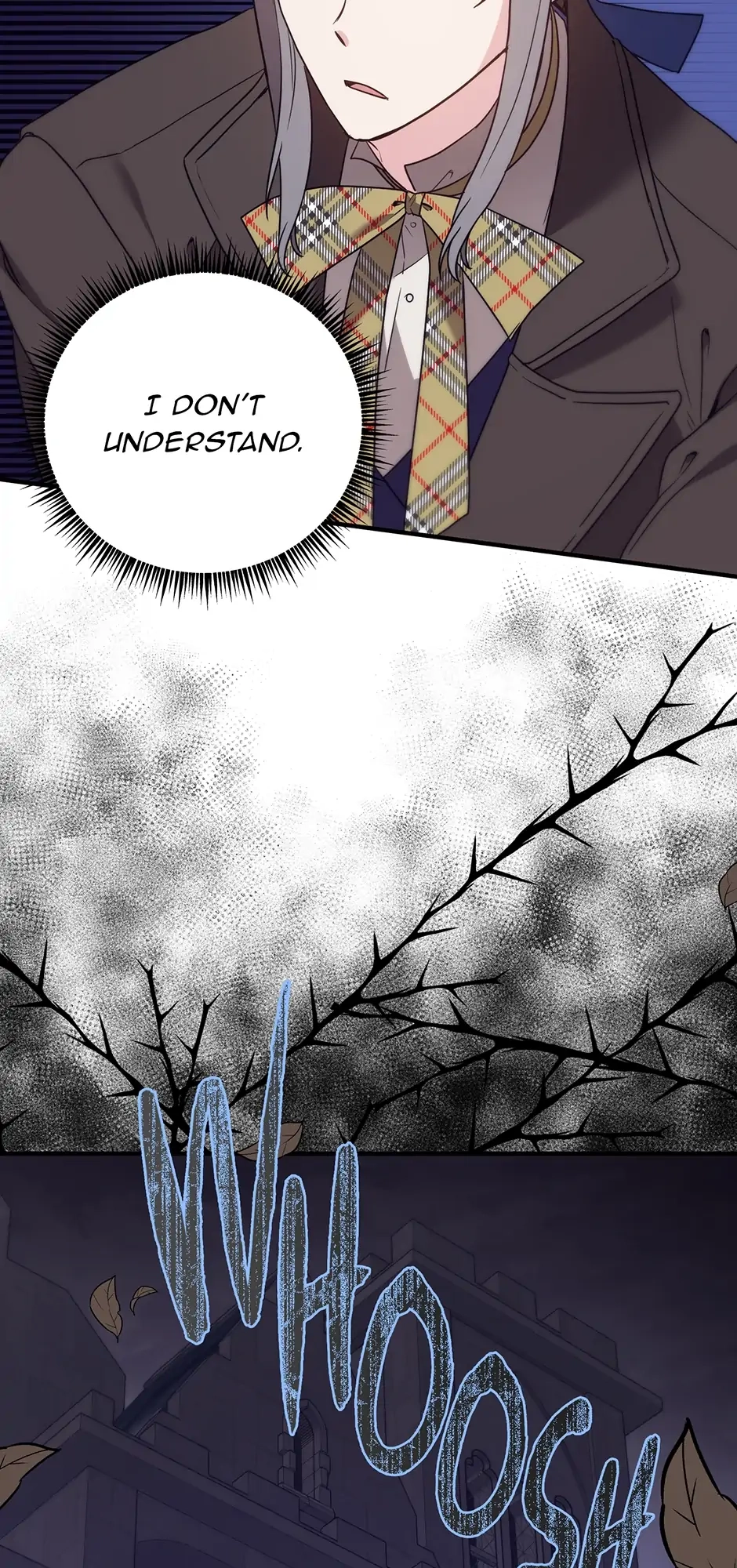 I Couldn
