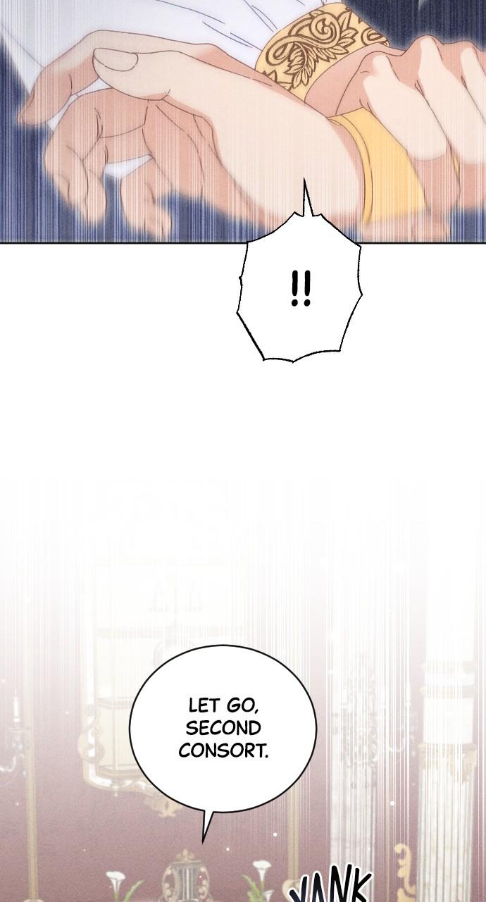 I dare to plead Chapter 15 page 27 - 