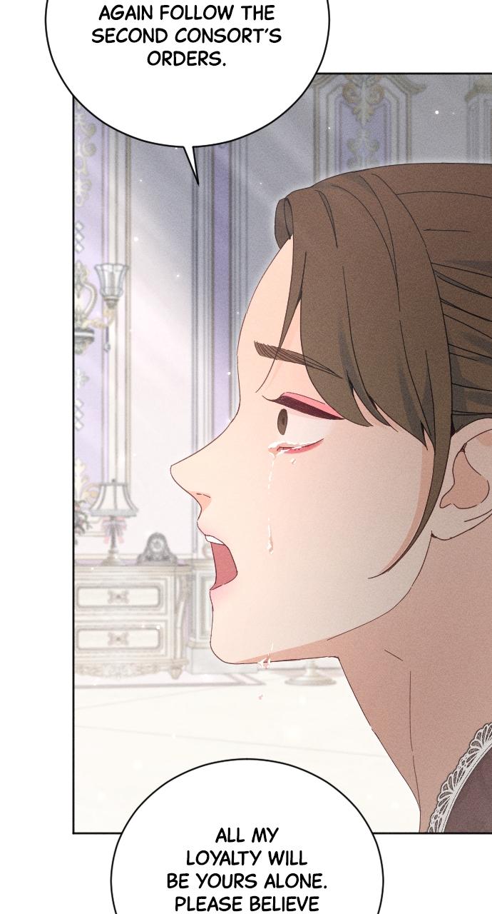 I dare to plead Chapter 16 page 36 - 