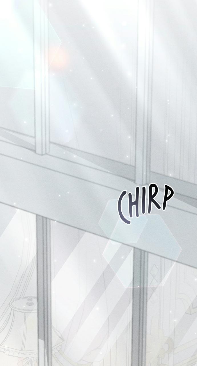 I dare to plead Chapter 20 page 36 - 