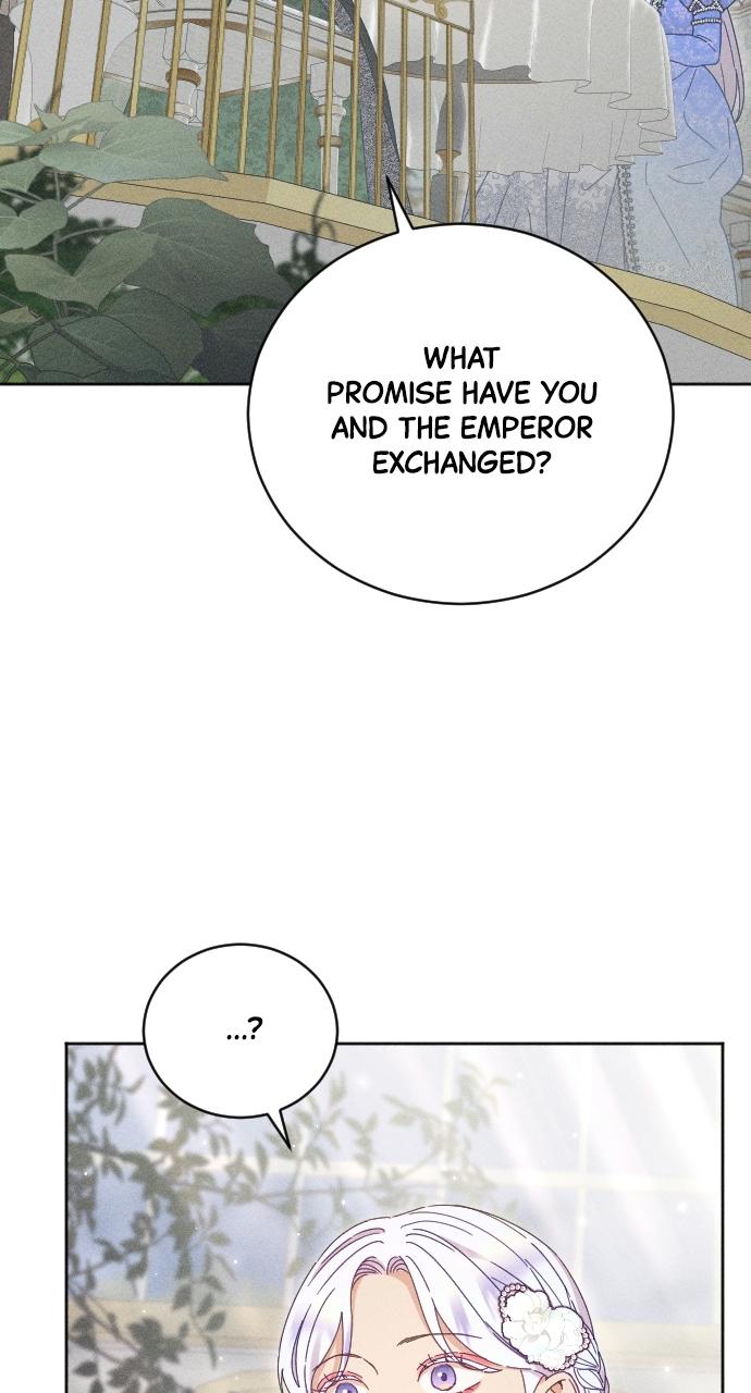 I dare to plead Chapter 20 page 68 - 