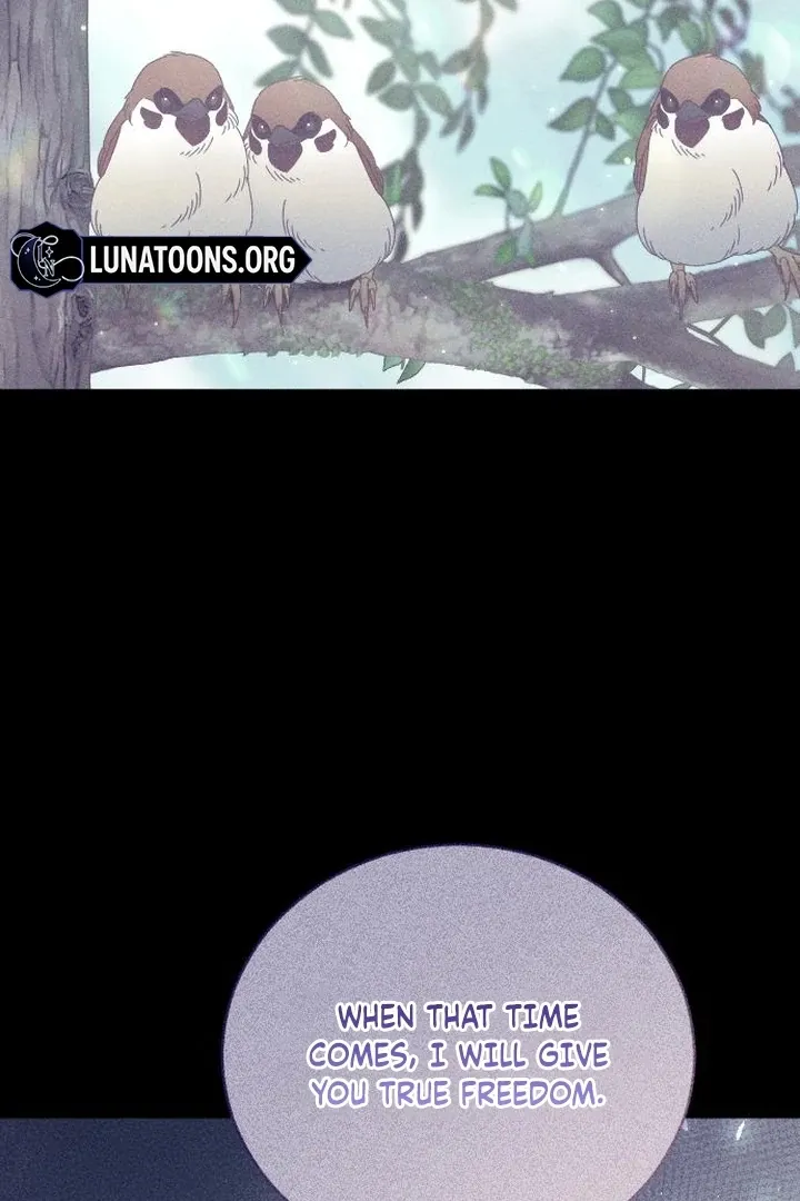 I dare to plead Chapter 9 page 104 - 