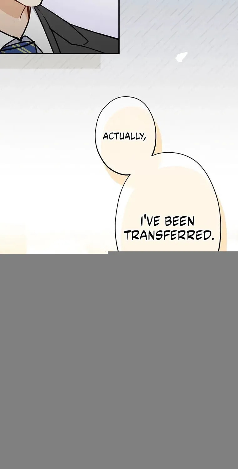 I Don