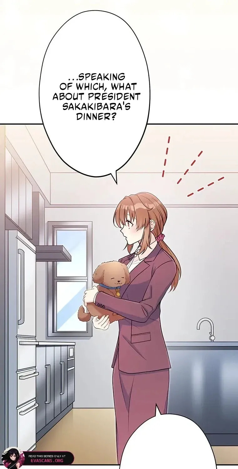 I Don