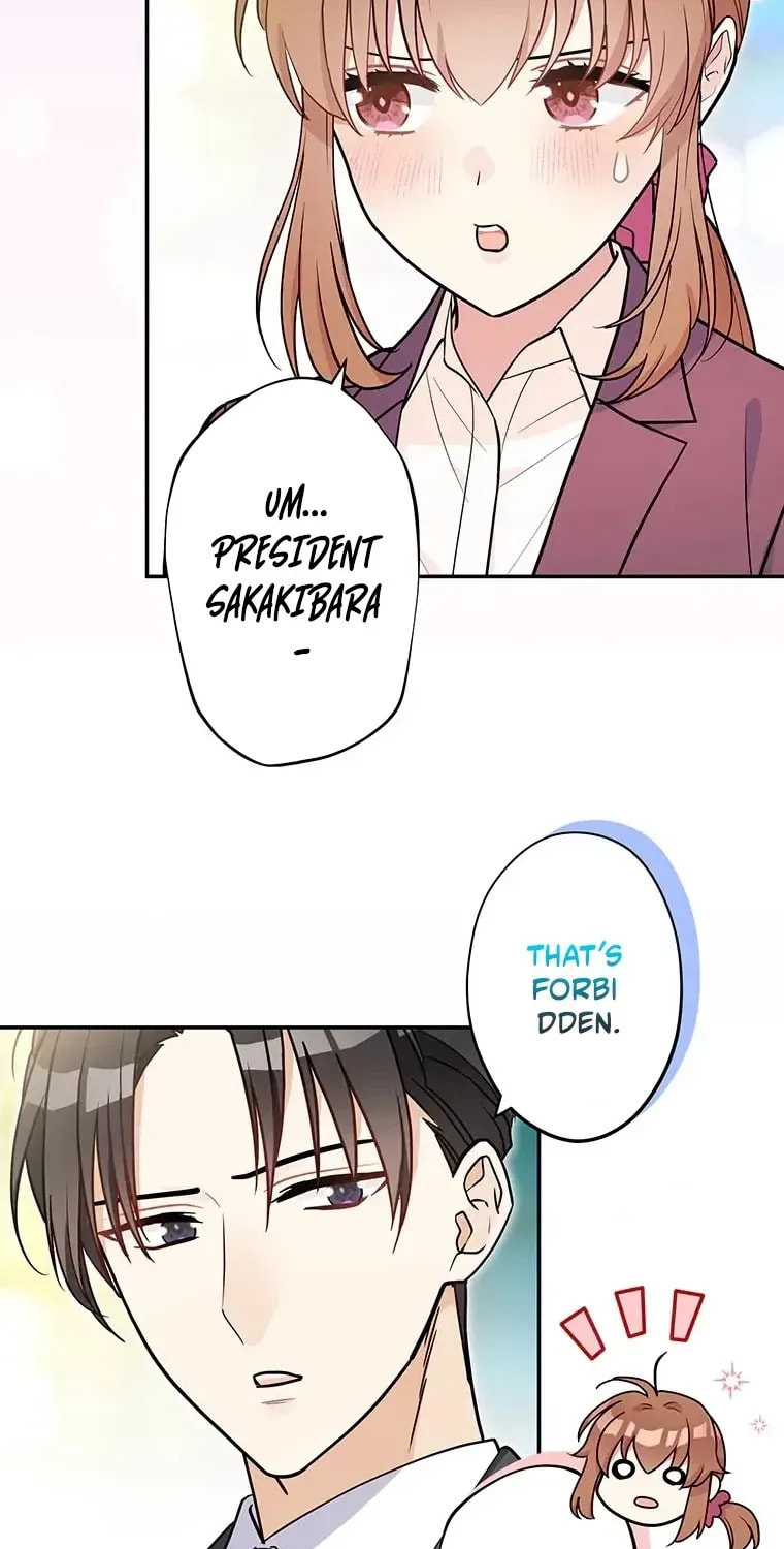 I Don